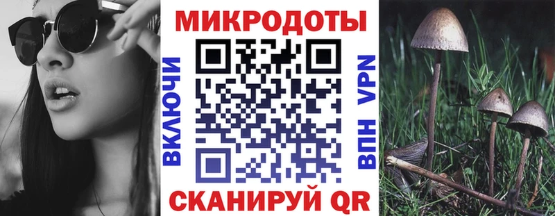 мега ссылки Щёлкино Галлюциногенные грибы мицелий